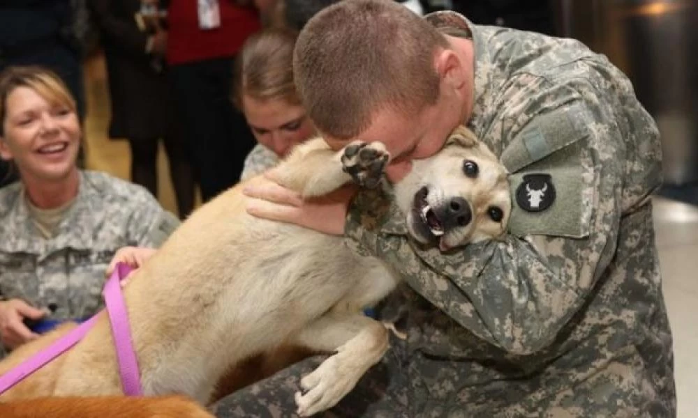 Απίστευτο βίντεο: Σκύλος υποδέχεται φαντάρο που γυρνάει από τον πόλεμο!